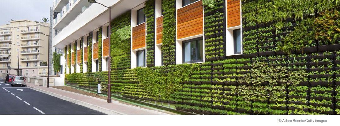 Start your day with ideas for a greener city
